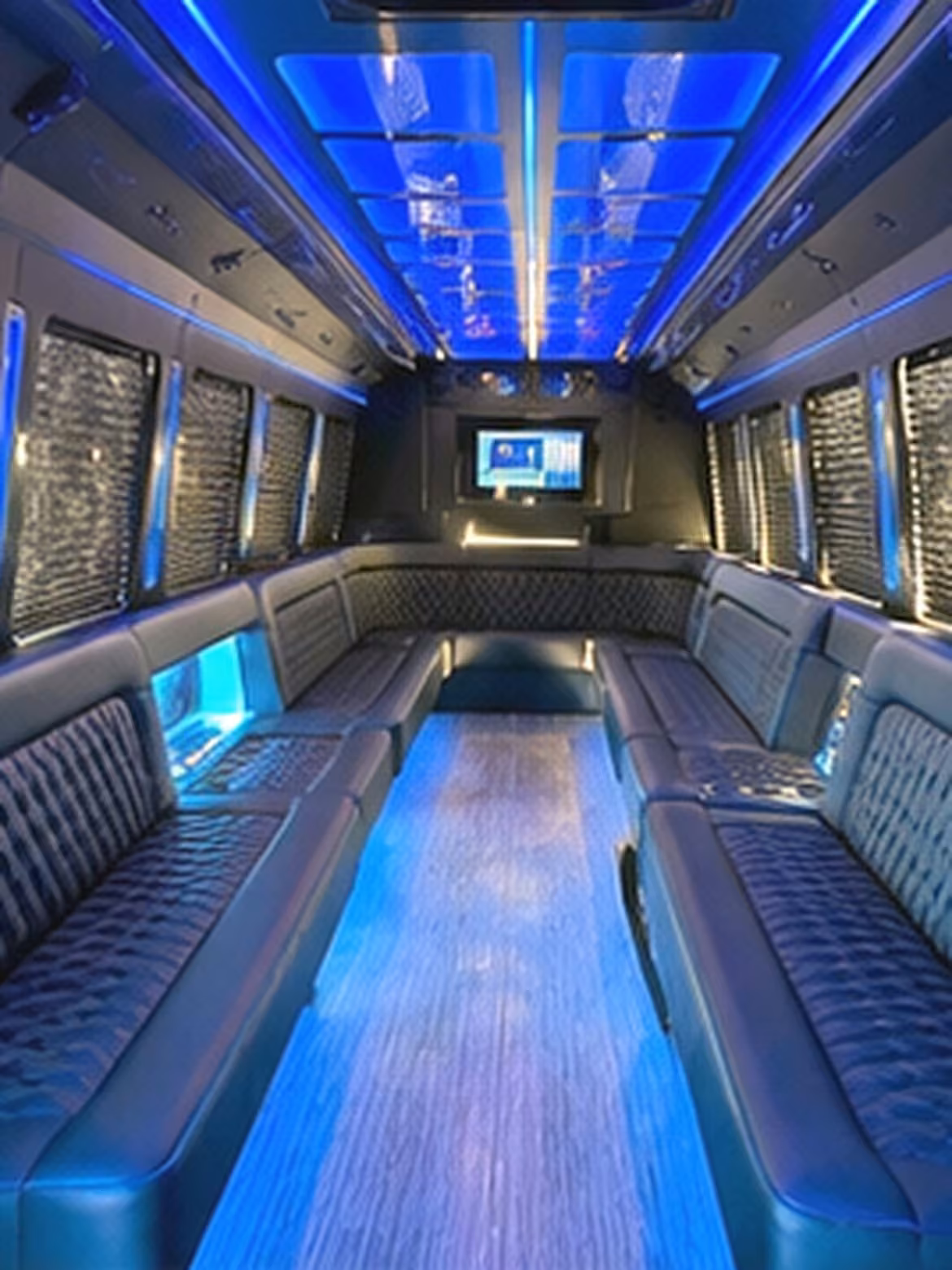 20 passenger party bus interior