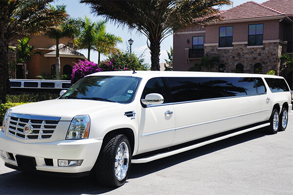 Lafayette 20 Passenger Limo